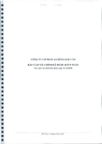 Báo cáo tài chính công ty cổ phần xi măng Hải Vân_Năm tài chính kết thúc ngày 31 tháng 12 năm 2010