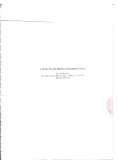 Báo cáo tài chính công ty cổ phần cảng Đồng Nai_Năm tài chính kết thúc ngày 31 tháng 12 năm 2010