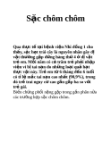 Sặc chôm chôm