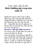 Tiêu chảy cấp ở trẻ: Bênh thường găp trong mua ̣ ̣ ̀ mưa, lũ