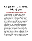 Cà gai leo - Giải rượu, bảo vệ gan