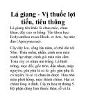 Lá giang - Vị thuốc lợi tiểu, tiêu thũng