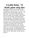 Lá phù dung - Vị thuốc giảm sưng đau