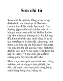 Sơn chi tử