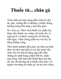 Thuốc từ... chân gà