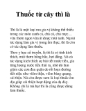 Thuốc từ cây thì là