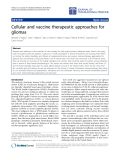 Báo cáo hóa học: " Abstract Despite new additions to the standard of care therapy for high grade primary malignant brain tumors, the prognosis for patients with this disease is still poor."