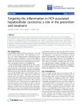 Báo cáo hóa học: " Targeting the inflammation in HCV-associated hepatocellular carcinoma: a role in the prevention and treatment"