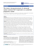 Báo cáo hóa học: "IThe tumor microenvironment of colorectal cancer: stromal TLR-4 expression as a potential prognostic marker"