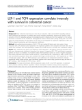 Báo cáo hóa học: " LEF-1 and TCF4 expression correlate inversely with survival in colorectal cancer"