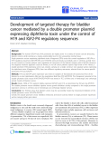 Báo cáo hóa học: " Development of targeted therapy for bladder cancer mediated by a double promoter plasmid expressing diphtheria toxin under the control of H19 and IGF2-P4 regulatory sequences"