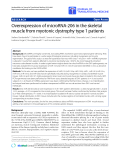 Báo cáo hóa học: "  Overexpression of microRNA-206 in the skeletal muscle from myotonic dystrophy type 1 patients"