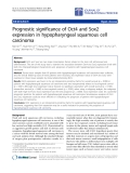 Báo cáo hóa học: " Prognostic significance of Oct4 and Sox2 expression in hypopharyngeal squamous cell carcinoma'"