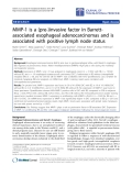 Báo cáo hóa học: " MMP-1 is a (pre-)invasive factor in Barrettassociated esophageal adenocarcinomas and is associated with positive lymph node status"