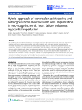 Báo cáo hóa học: "Hybrid approach of ventricular assist device and autologous bone marrow stem cells implantation in end-stage ischemic heart failure enhances myocardial reperfusion"