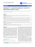 Báo cáo hóa học: " Cathepsin B: a potential prognostic marker for inflammatory breast cancer"