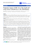 Báo cáo hóa học: "Prognostic Impact of MiR-155 in Non-Small Cell Lung Cancer Evaluated by in Situ Hybridization"