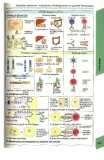 Atlas de poche d immunologie -  part 6