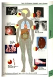 Atlas de poche d immunologie -  part 7