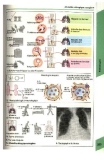 Atlas de poche d immunologie -  part 8