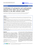 Báo cáo sinh học: "Combination of cyclosporine and erythropoietin improves brain infarct size and neurological function in rats after ischemic stroke"