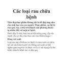 Các loại rau chữa bệnh