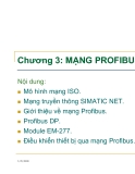 MẠNG PROFIBUS