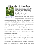 Mãng cầu và công dụng