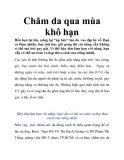 Chăm da qua mùa khô hạn