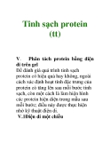 Bài giảng Tinh sạch protein (tt) 