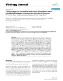 Báo cáo hóa học: " Cellular apoptosis induced by replication of hepatitis B virus: possible link between viral genotype and clinical outcome"