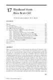 Handbook of plant based biofuels - Chapter 17