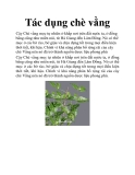 Tác dụng chè vằng