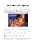 Thảo dược điều trị ho gà