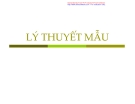 Lý thuyết mẫu