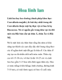 Hoa linh lan