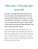 Phân xanh » Trồng điên điển cải tạo đất