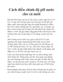 Cách điều chỉnh độ pH nước cho cá nuôi