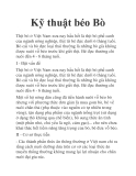 Kỹ thuật béo Bò