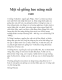 Một số giống heo năng suất cao