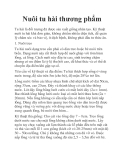 Nuôi tu hài thương phẩm