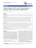 báo cáo hóa học:" Study of quality of life and its determinants in patients after urinary stone fragmentation"