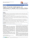 báo cáo hóa học: "  Impact of traumatic dental injuries and malocclusions on quality of life of young children"