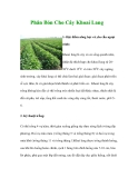 Phân Bón Cho Cây Khoai Lang