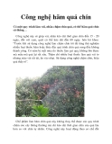 Công nghệ hãm quả chín