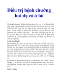 Điều trị bệnh chướng hơi dạ cỏ ở bò