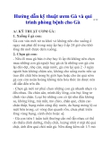 Hướng dẫn kỹ thuật ươm Gà và qui trình phòng bệnh cho Gà