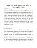 Phòng trừ bệnh đốm lá lớn, đốm lá nhỏ ở Bắp - Ngô