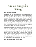 Sâu ăn bông Sầu Riêng