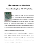 Tầm quan trọng của phân bón SA (Ammonium Sulphate) đối với Cây Trồng 